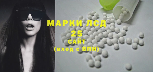 прущий лед Алзамай