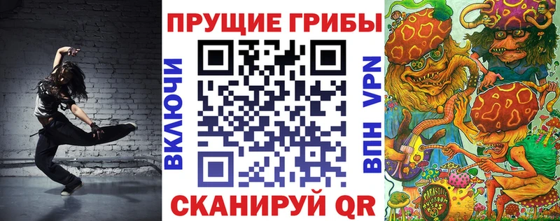 Псилоцибиновые грибы прущие грибы  kraken зеркало  Десногорск  купить закладку 
